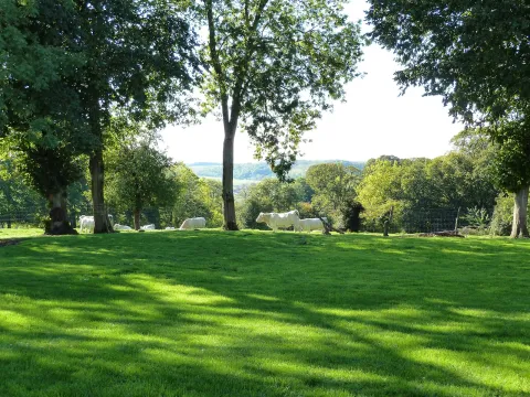 Hotel Le Clos De La Prairie