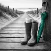 Quelle est la meilleure période pour visiter les Hauts de France pour un week‑end thématique réussi ?
