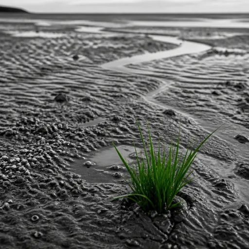 Crotoybaiedesomme com article : un guide d’exception pour voyager en Baie de Somme