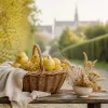 Cueillir à Amiens : une journée de cueillette élégante aux portes de la ville