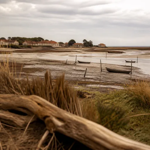 Vivre la baie de Somme grâce à la webcam du Crotoy en direct